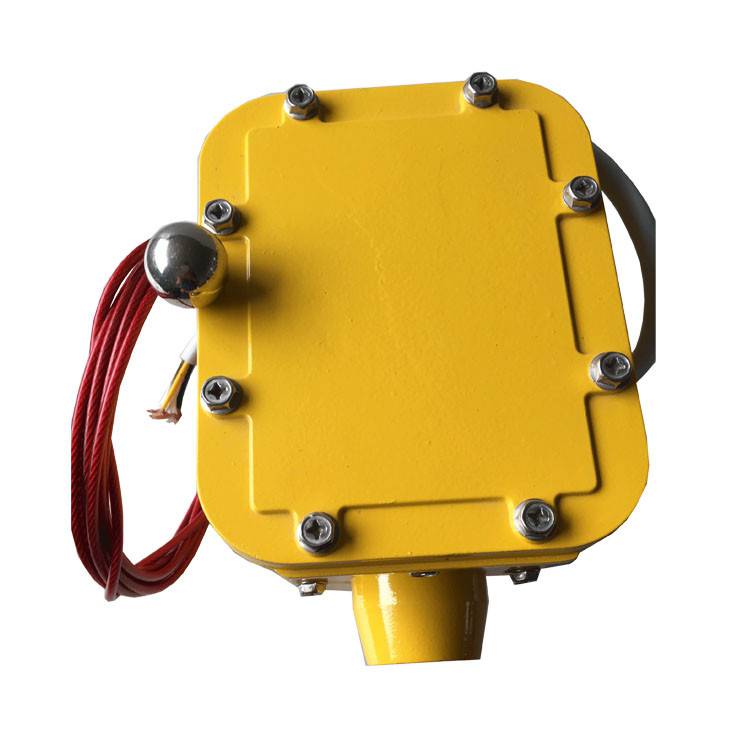 皮帶縱向撕裂檢測器SCPT-180-30、皮帶縱向撕裂檢測裝置ZL-B-II-100生產(chǎn)